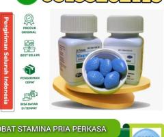 Jual Viagra Usa Di Sleman Jogja 08133262119 Pesan Antar